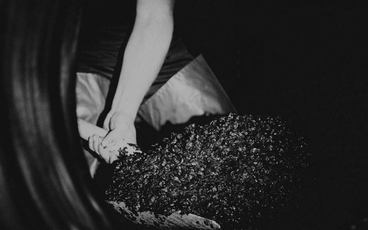 Bodegas Carlos Serres