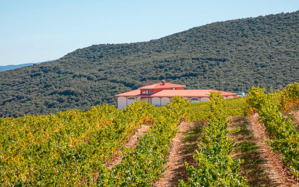 El Coto de Rioja S.A.