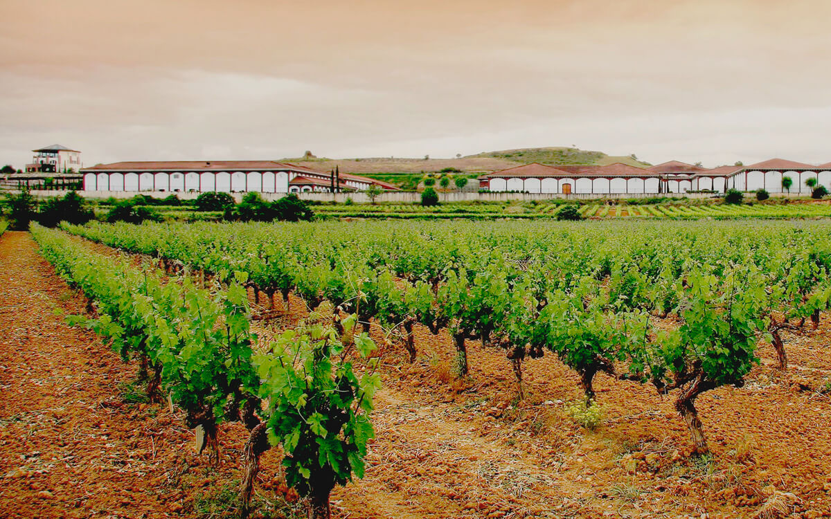 El Coto de Rioja S.A.