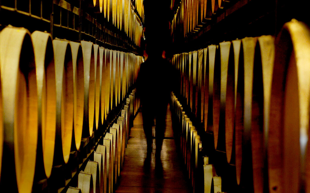 El Coto de Rioja S.A.