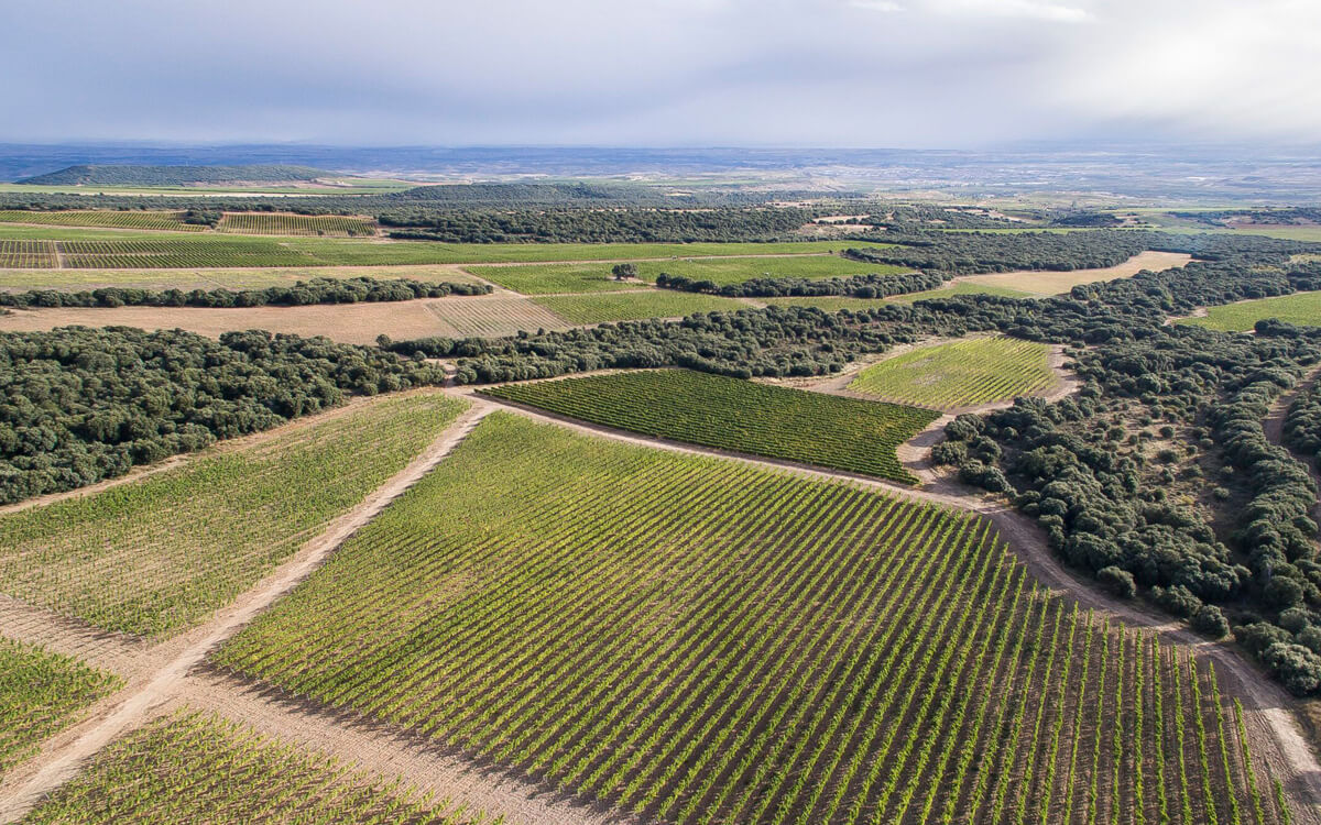 El Coto de Rioja S.A.