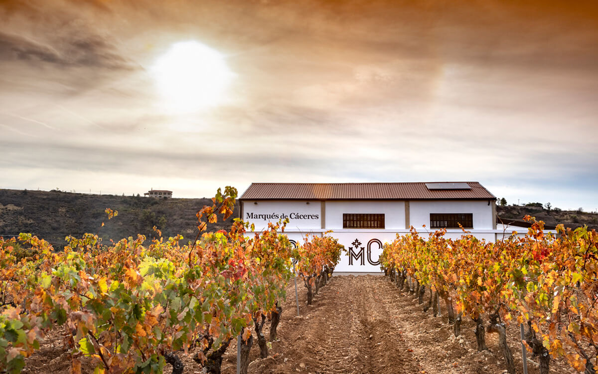 Bodegas Marqués de Cáceres