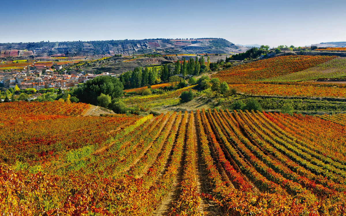 Bodegas Marqués de Cáceres