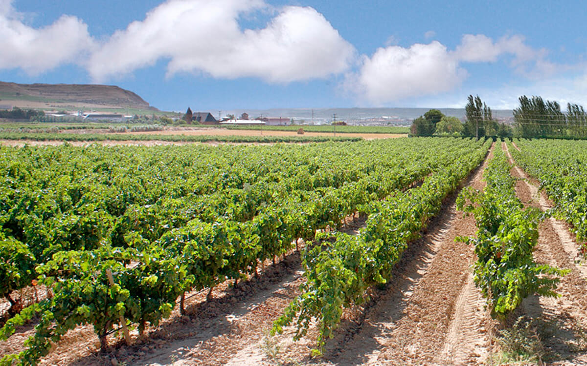 Bodegas Marqués de Vitoria S.A.