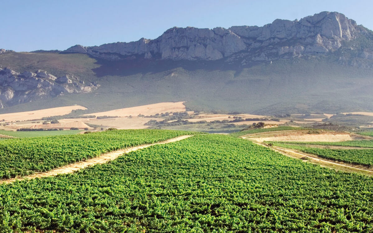 Bodegas Marqués de Vitoria S.A.