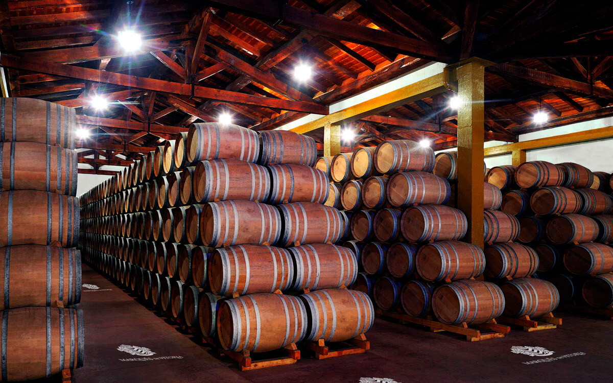 Bodegas Marqués de Vitoria S.A.