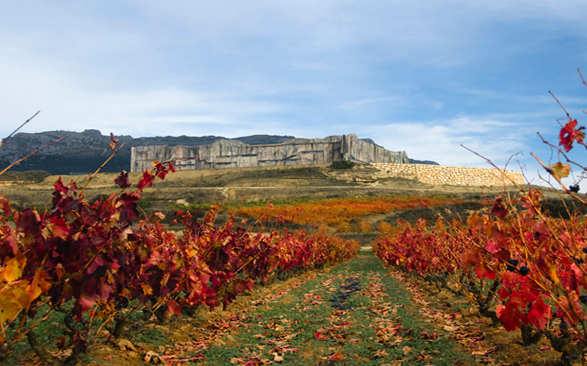 Bodegas Soto de Torres